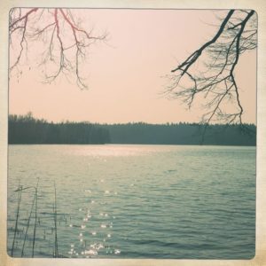 Verliebt am Liepnitzsee